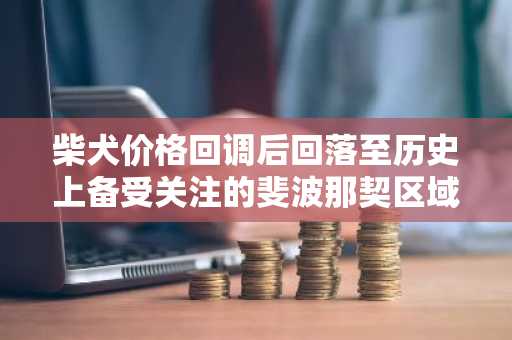 柴犬价格回调后回落至历史上备受关注的斐波那契区域