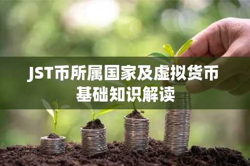 JST币所属国家及虚拟货币基础知识解读