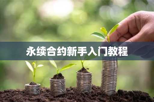 永续合约新手入门教程