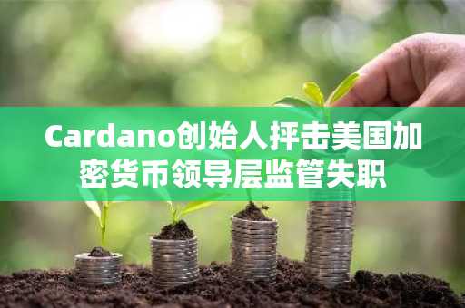 Cardano创始人抨击美国加密货币领导层监管失职