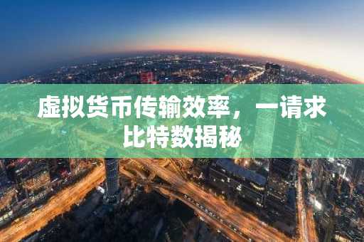 虚拟货币传输效率，一请求比特数揭秘