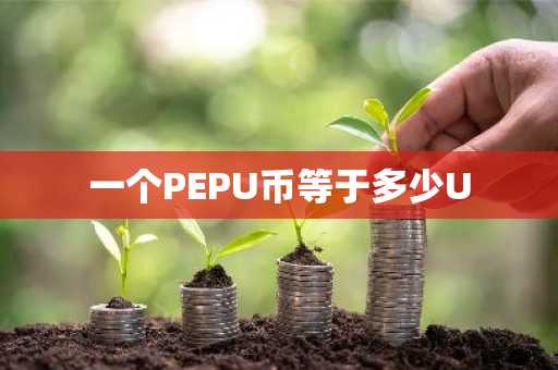 一个PEPU币等于多少U