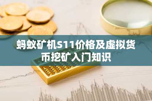 蚂蚁矿机S11价格及虚拟货币挖矿入门知识