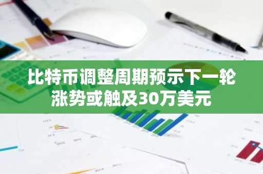 比特币调整周期预示下一轮涨势或触及30万美元