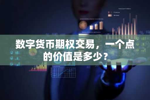 数字货币期权交易，一个点的价值是多少？