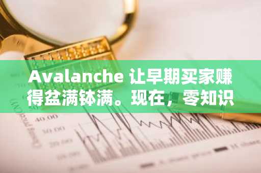 Avalanche 让早期买家赚得盆满钵满。现在，零知识证明技术开启了 250 倍投资回报率的大门，同时还带来了公平的准入机会！