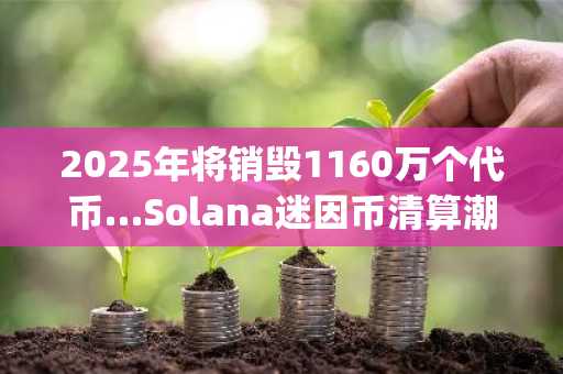 2025年将销毁1160万个代币…Solana迷因币清算潮引发Pump.fun平台抛售激增