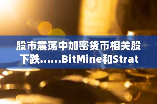 股市震荡中加密货币相关股下跌……BitMine和Strategy股价暴跌超9%