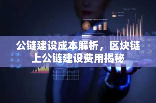 公链建设成本解析，区块链上公链建设费用揭秘