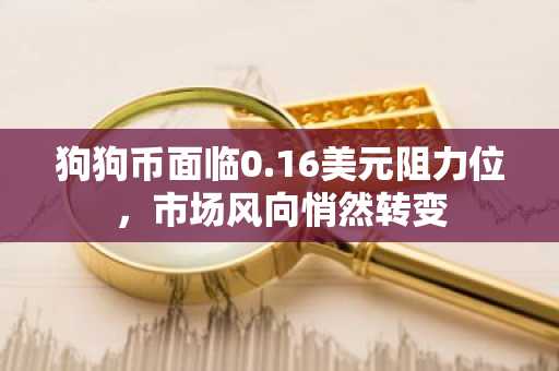 狗狗币面临0.16美元阻力位，市场风向悄然转变