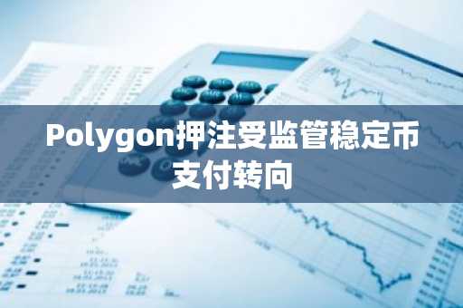 Polygon押注受监管稳定币支付转向