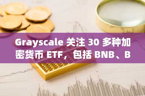 Grayscale 关注 30 多种加密货币 ETF，包括 BNB、BONK 和 HYPE。