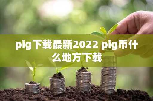 pig下载最新2022 pig币什么地方下载