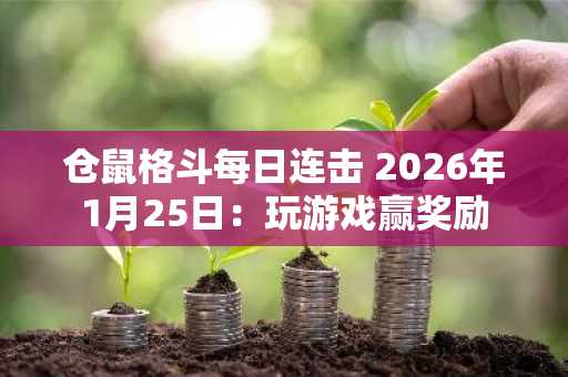 仓鼠格斗每日连击 2026年1月25日：玩游戏赢奖励