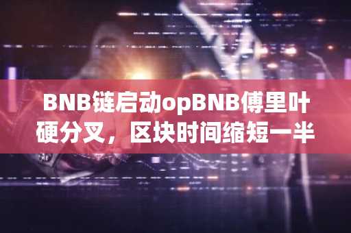 BNB链启动opBNB傅里叶硬分叉,区块时间缩短一半