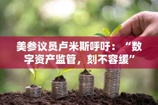 美参议员卢米斯呼吁：“数字资产监管，刻不容缓”