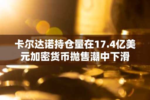 卡尔达诺持仓量在17.4亿美元加密货币抛售潮中下滑