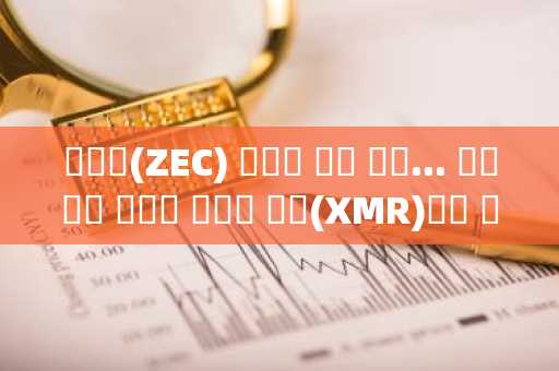 지캐시(ZEC) 개발팀 사퇴 쇼크... 프라버시 대장주 모네로 코인(XMR)으로 자금 대 Been 화 实例