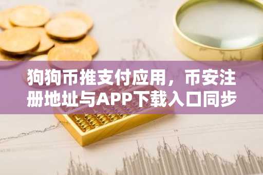 狗狗币推支付应用,币安注册地址与APP下载入口同步更新