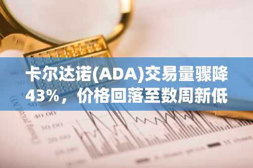 卡尔达诺(ADA)交易量骤降43%，价格回落至数周新低