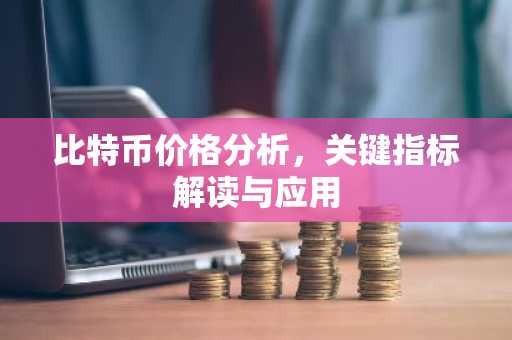 比特币价格分析，关键指标解读与应用