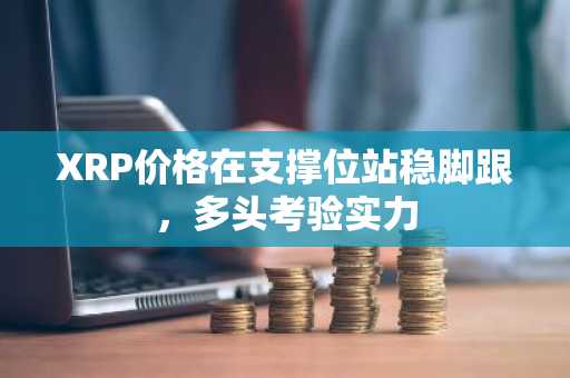 XRP价格在支撑位站稳脚跟，多头考验实力