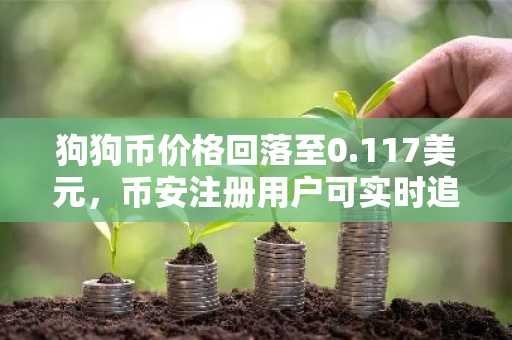 狗狗币价格回落至0.117美元，币安注册用户可实时追踪行情波动