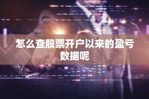 怎么查股票开户以来的盈亏数据呢