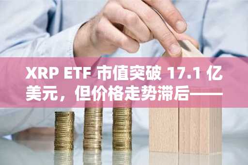 XRP ETF 市值突破 17.1 亿美元，但价格走势滞后——3 美元的目标价位是否仍有可能？