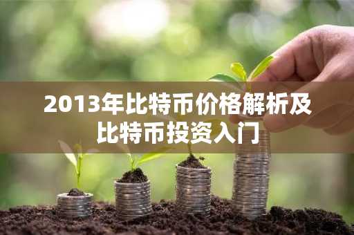 2013年比特币价格解析及比特币投资入门