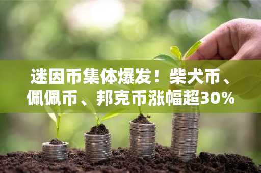 迷因币集体爆发!柴犬币、佩佩币、邦克币涨幅超30%,币安APP下载入口速览