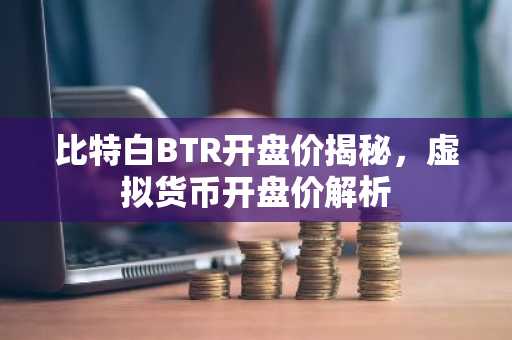 比特白BTR开盘价揭秘，虚拟货币开盘价解析