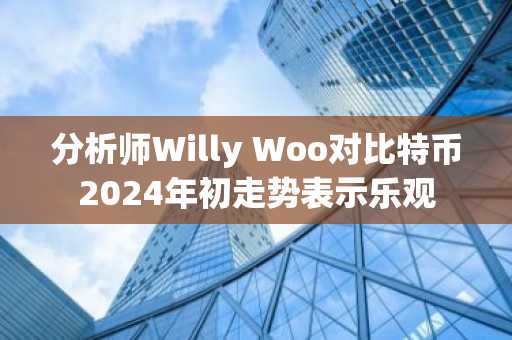 分析师Willy Woo对比特币2024年初走势表示乐观