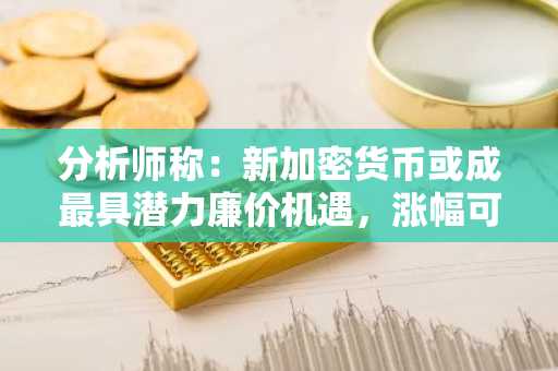 分析师称：新加密货币或成最具潜力廉价机遇，涨幅可达550%