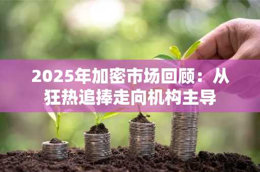 2025年加密市场回顾：从狂热追捧走向机构主导