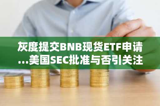 灰度提交BNB现货ETF申请…美国SEC批准与否引关注