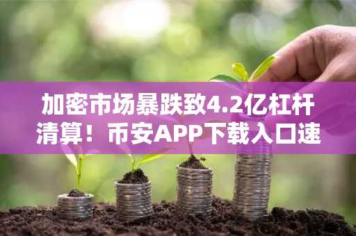 加密市场暴跌致4.2亿杠杆清算！币安APP下载入口速览