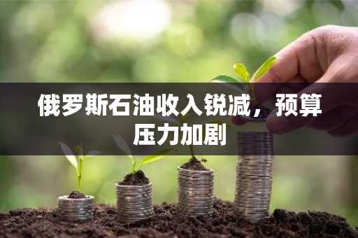 俄罗斯石油收入锐减，预算压力加剧