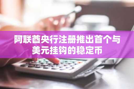 阿联酋央行注册推出首个与美元挂钩的稳定币