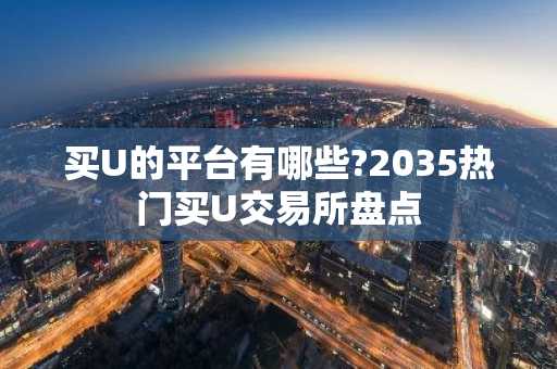 买U的平台有哪些?2035热门买U交易所盘点