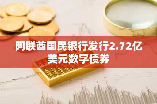 阿联酋国民银行发行2.72亿美元数字债券