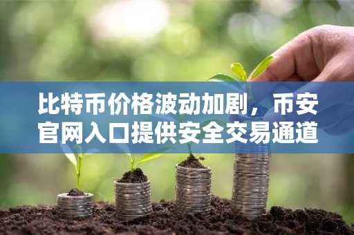 比特币价格波动加剧，币安官网入口提供安全交易通道