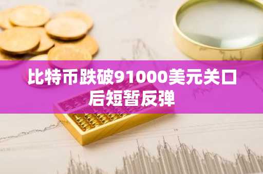比特币跌破91000美元关口后短暂反弹