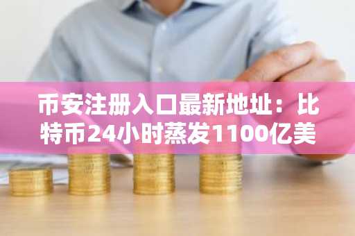 币安注册入口最新地址：比特币24小时蒸发1100亿美元