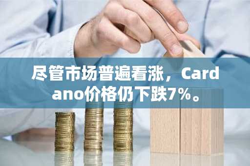 尽管市场普遍看涨，Cardano价格仍下跌7%。