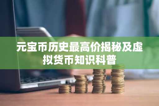 元宝币历史最高价揭秘及虚拟货币知识科普