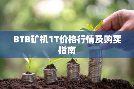 BTB矿机1T价格行情及购买指南