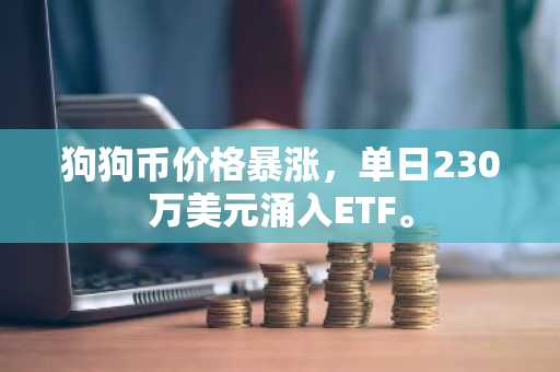 狗狗币价格暴涨,单日230万美元涌入ETF。